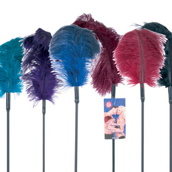 Ostrich Feather Ticklers: Tickle and tease your partner while they masturbate with the best sex toy vibrators, dildos, and vibrating cock rings.  